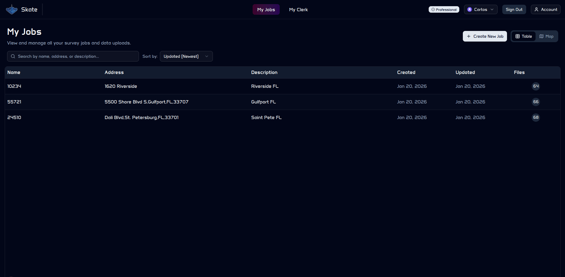 Skate Platform Feature 1